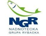 Ilustracja do artykułu: Szkolenia i warsztaty NGR